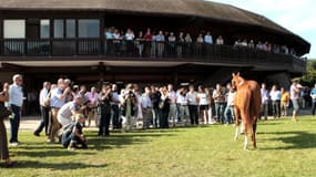 Des acheteurs de Dubaï, du Qatar, des pays de l'Est seront présents à Deauville pour la vente de yearlings.