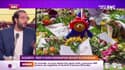Les histoires de Charles Magnien : Elizabeth, trop d’ours Paddington devant Buckingham - 13/09