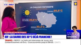 Ile-de-France: la barre des 30°C déjà franchie