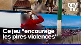 "Jeu du cou de l'oie", consistant à décapiter l'animal: l'association animaliste One Voice réclame son interdiction dans l'Aube