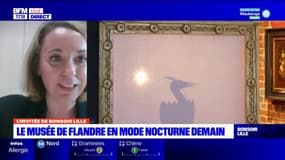 Nord: une nocturne samedi au Musée de Flandre "sur le thème du bizarre"