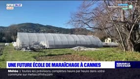 Une future école de maraîchage à Cannes