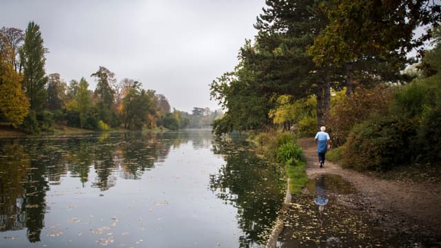 prostituee bois de boulogne forum