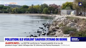 Pollution: l'étang de Berre en danger