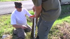 Ces chasseurs électrifient la frontière entre la Belgique et la Meurthe-et-Moselle pour freiner la peste porcine