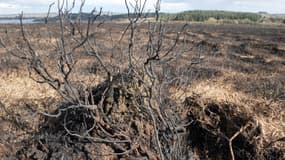 Incendie dans les Monts d'Arrée