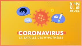 Covid: ce qu'il reste à découvrir