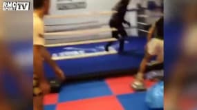 Balotelli poursuivi par un chien autour d’un ring