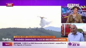 Pyrénées-Orientales : l'incendie a cessé de progresser