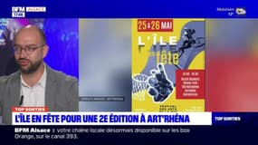 Top Sorties Alsace du vendredi 24 mai - L’île en fête pour une 2e édition à Art'Rhéna