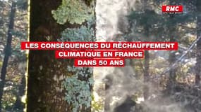 Les conséquences du réchauffement climatique en France dans 50 ans
