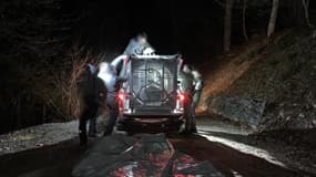 L'ourse "JJ4" qui a tué un joggeur le 5 avril dans le nord de l'Italie a été capturée par des gardes-forestiers.