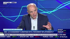 Vincent Auriac (Axylia) : Qu'attendre du futur rapport pour les placements verts ? - 24/06