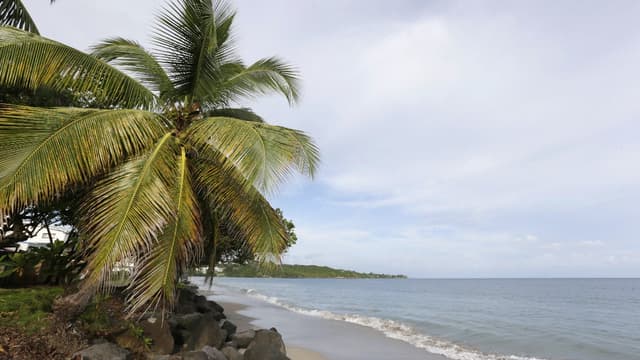 Record de visiteurs en Martinique en 2017.