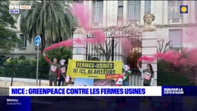 Nice: Greenpeace dénonce l'élevage intensif des fermes usines devant la préfecture