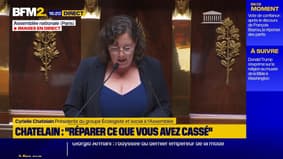  "La crise que nous traversons n'est pas un simple casting" : Cyrielle Chatelain répond à François Bayrou après son discours à l'Assemblée