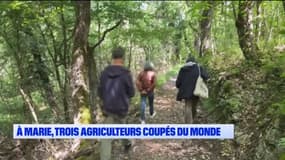 Marie: trois agriculteurs coupés du monde réclament la création d'une piste accessible aux véhicules