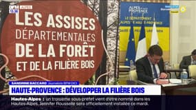 Alpes-de-Haute-Provence: les Assises de la forêt et de la filière bois se préparent