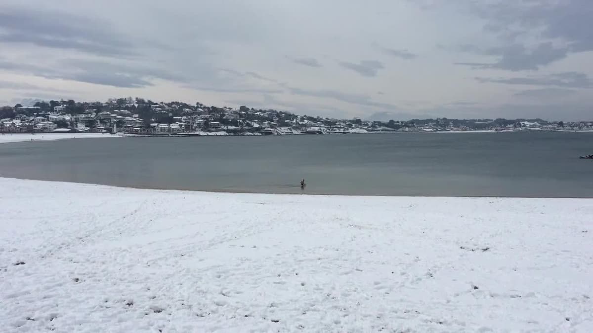 placeholder video
