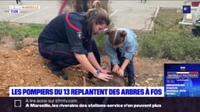 Les pompiers des Bouches-du-Rhône replantent des arbres à Fos-sur-Mer