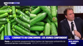 LA BANDE PREND LE POUVOIR - Courgette ou concombre: les jeunes confondent