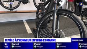 Seine-et-Marne: le vélo à l'honneur avec le salon "Vélo en grand"