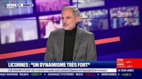 French Tech : pourquoi autant de licornes en si peu de temps ?