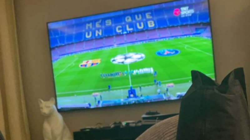 Barça-PSG: Neymar s'est régalé sur les réseaux sociaux devant le show Mbappé