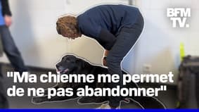 Croquettes, consultations vétérinaires...Ces deux associations prennent soin des animaux des sans-abris