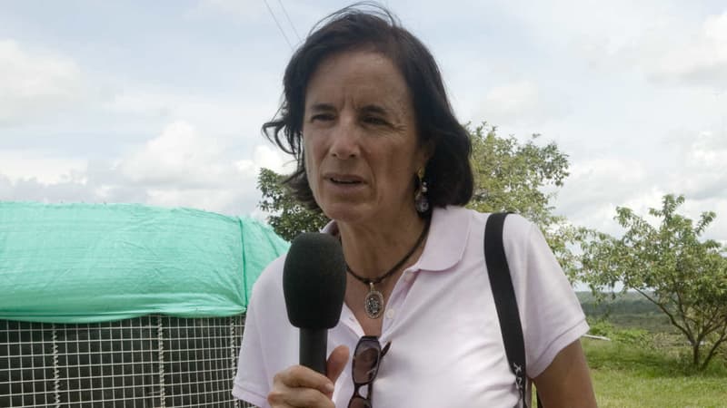 La journaliste hispano-colombienne Salud Hernanez-Mora est portée disparue en Colombie depuis samedi. 