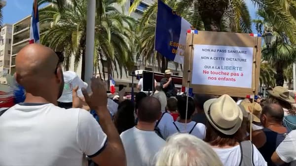 Les manifestants à Toulon. 