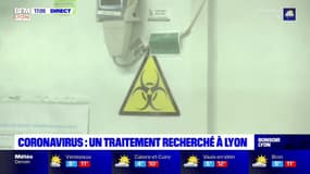 Coronavirus : un traitement recherché à Lyon