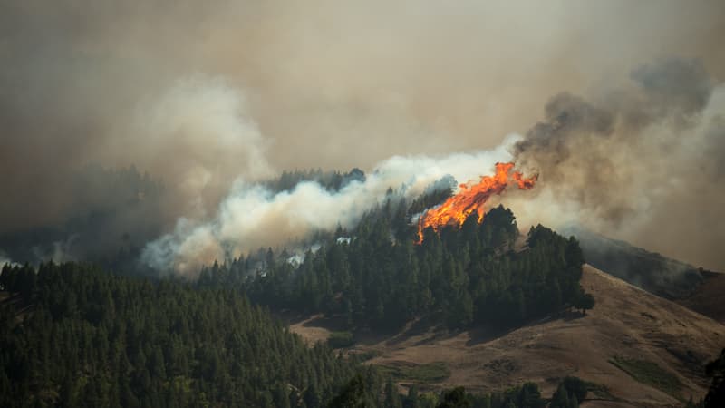 L'incendie à Grande Canarie le 18 août