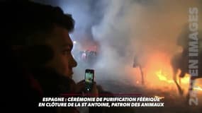 Espagne: cérémonie de purification féerique en clôture de la Saint-Antoine, patron des animaux