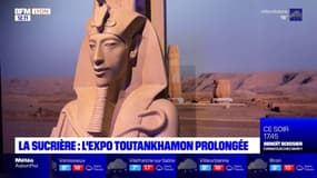Lyon: l'exposition dédiée à Toutankhamon joue les prolongations