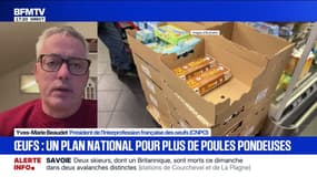 Pénurie d'œufs dans les supermarchés: "On a une consommation qui augmente plus vite que la production", explique Yves-Marie Beaudet (CNPO)
