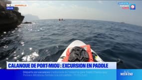 Passions Provence du samedi 5 juillet 2025 - Calanque de Port-Miou : excursion en paddle