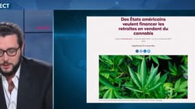 Le cannabis financera t-il bientôt les retraites ?