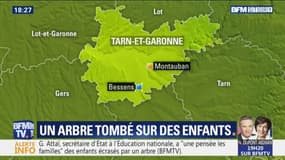 Arbre tombé sur des enfants: "Il y a eu des bourrasques, il a vu les racines bouger", raconte la mère d'un enfant présent lors de l'accident