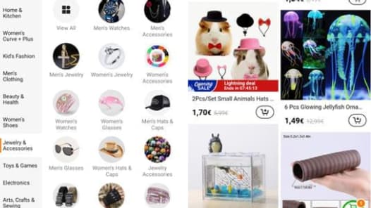 L'application d'e-shopping Temu, version chinoise de Pinoduoduo, se lance en France.