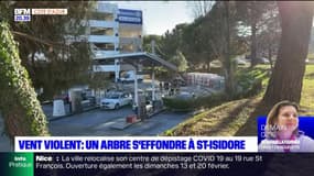 Nice: un arbre chute sur une station-service en raison des vents violents