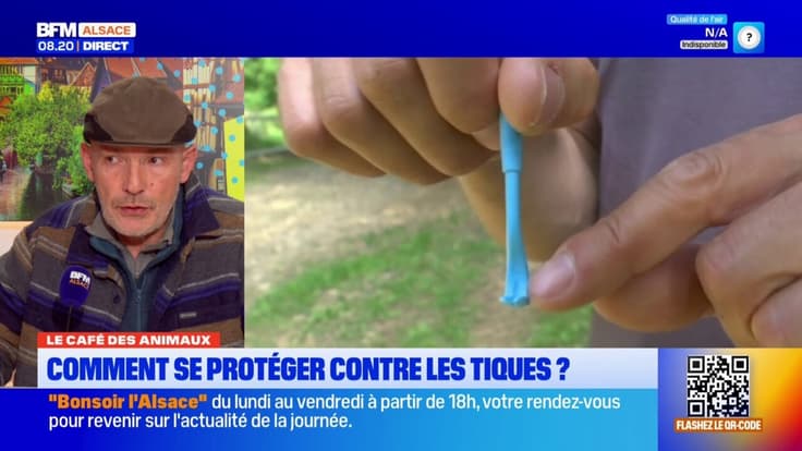 Le Café des Animaux: quelques conseils pour protéger son compagnon des tiques