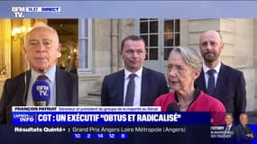 "Ceux qui restent figés sont les syndicats": François Patriat (Renaissance) s'exprime sur la réforme des retraites