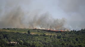 Un incendie, causé par deux départs de feux, ravage la forêt près de Gignac, dans l'Hérault, le 26 juillet 2022 