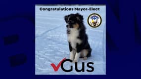 Capture d'écran Facebook © Dawson Municipal Dog Council Elections