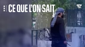 L'homme soupçonné d'avoir attaqué des enfants au couteau à Annecy.