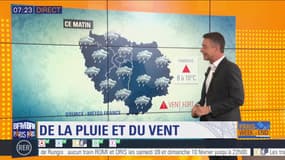 Météo Paris Île-de-France du 10 février : De la pluie et du vent