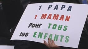 Les organisateurs de la manif pour tous espèrent dépasser les 300.000 manifestants.