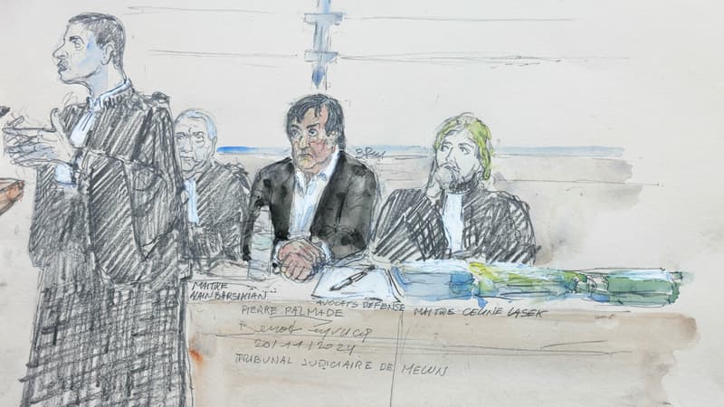 Ce portrait-robot réalisé le 20 novembre 2024 montre Pierre Palmade entouré de ses avocats Alain Barsikian et Céline Lasek, face à Mourad Battikh, l'avocat de la famille des victimes, lors d'une audience de la Cour d'appel de Paris.