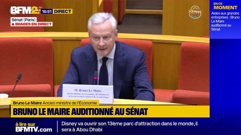 Bruno Le Maire : 